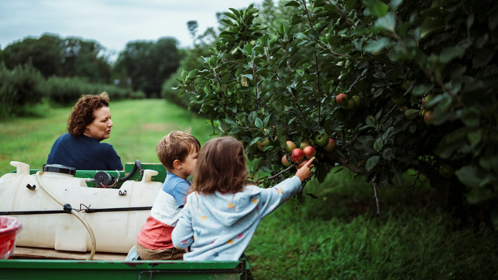Farms and agritourism