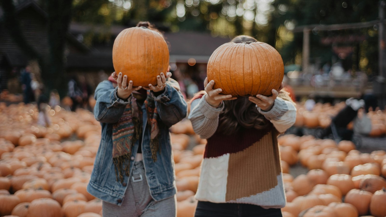 Pumpkin patches and corn mazes