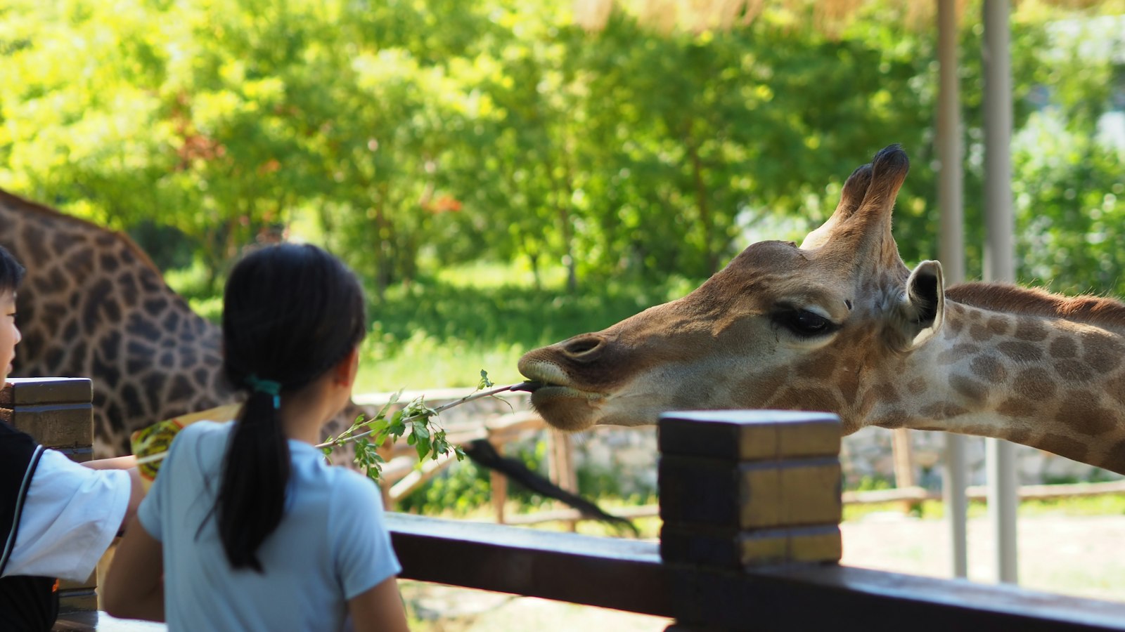 Zoos and aquariums